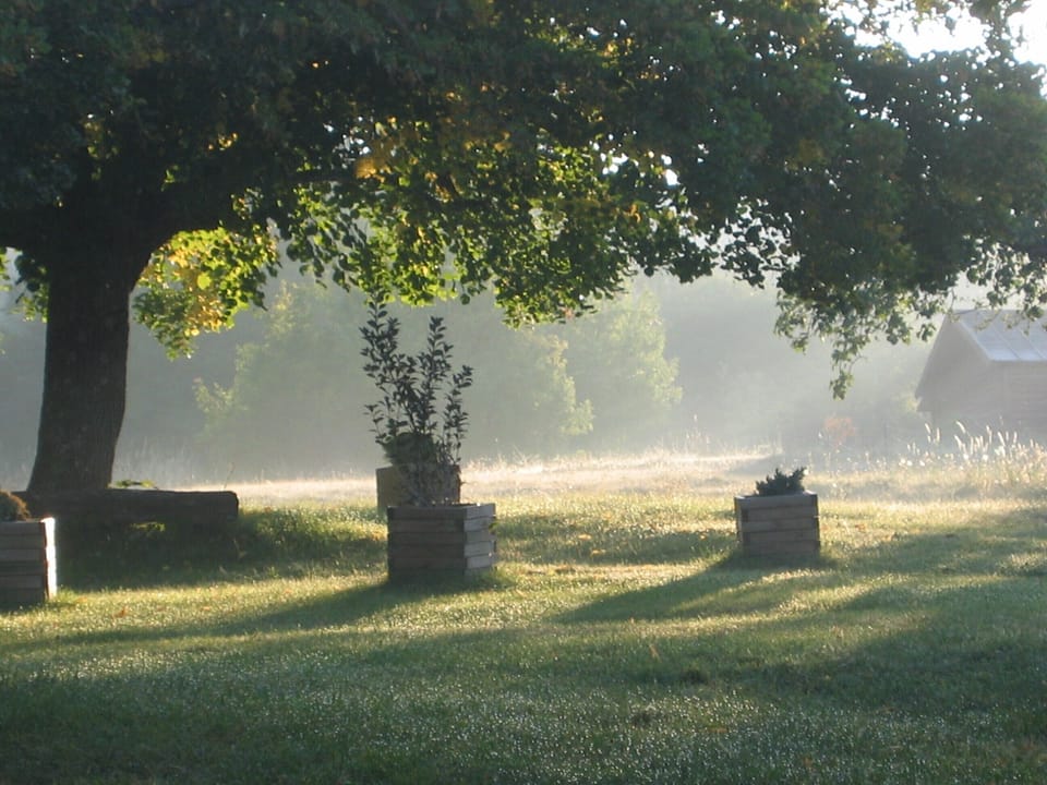 Relaxation guaranteed under the limetrees.
