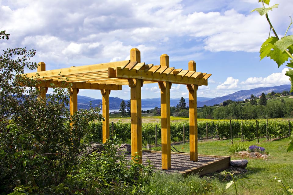 Our pergola, a great place to wander with wine glass in hand.