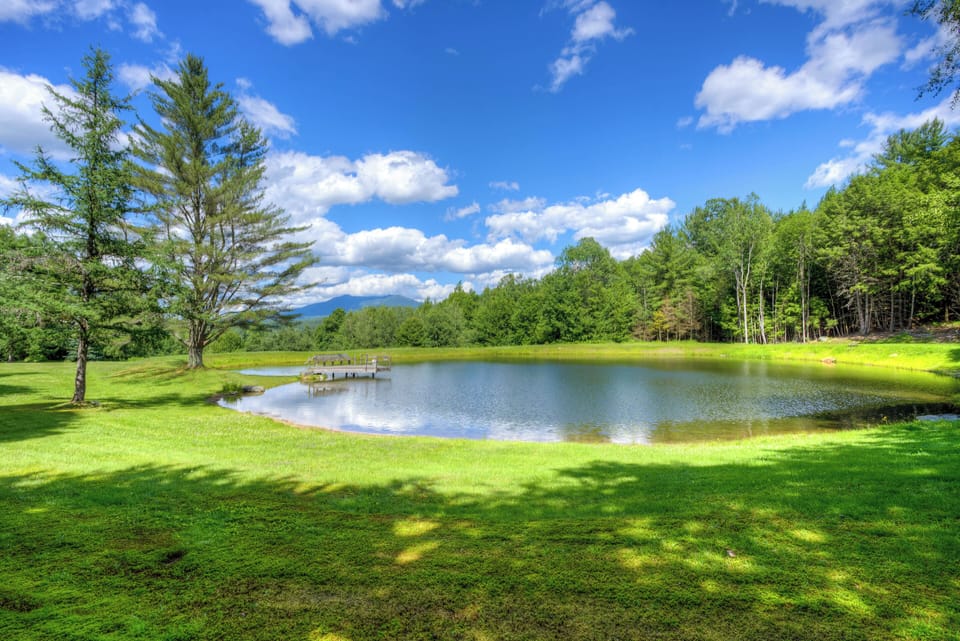 Pond View