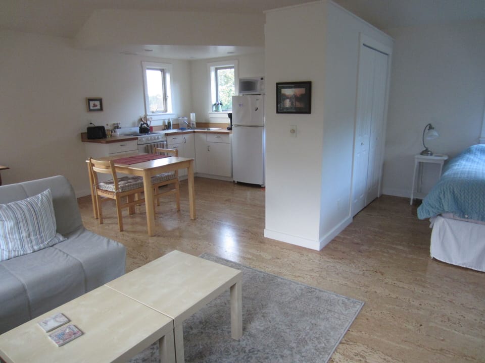 Two closets divide bedroom from kitchen area.