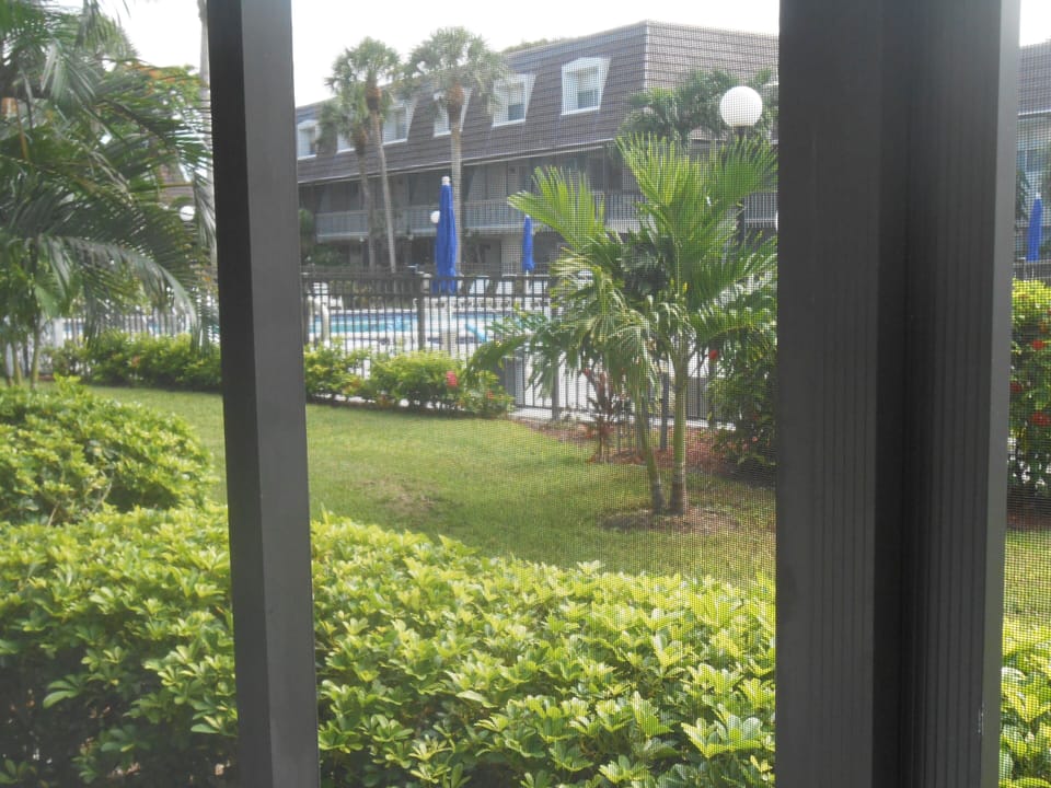 View of pool from the Lanai