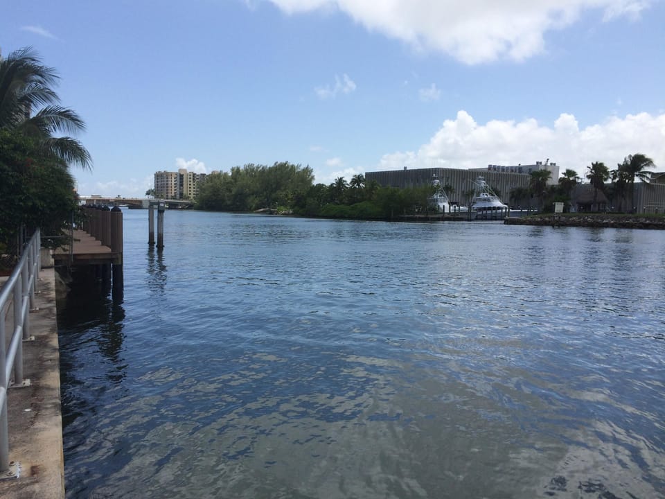 Intracostal at the park looking south.