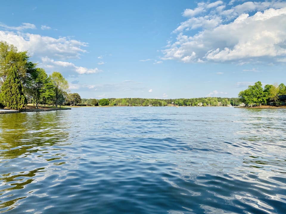 Ready for a swim off the dock?