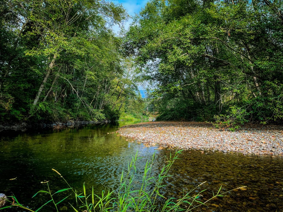 The Creek- a perfect place for a swim on a hot summers day