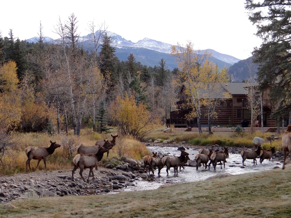 View from deck in the fall