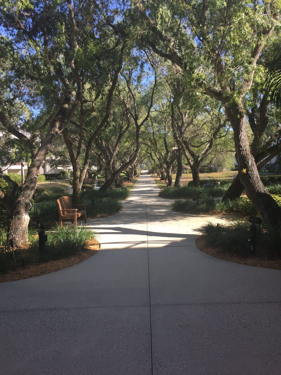 Bay-side garden walkway that sparkles at night
