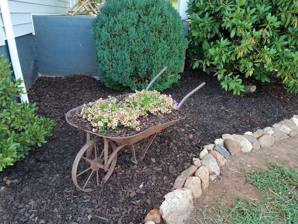 Antique Wheelboro in the landscaping