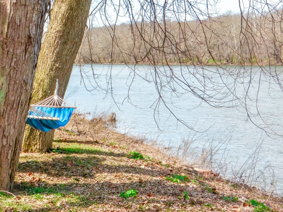 read or nap by the river