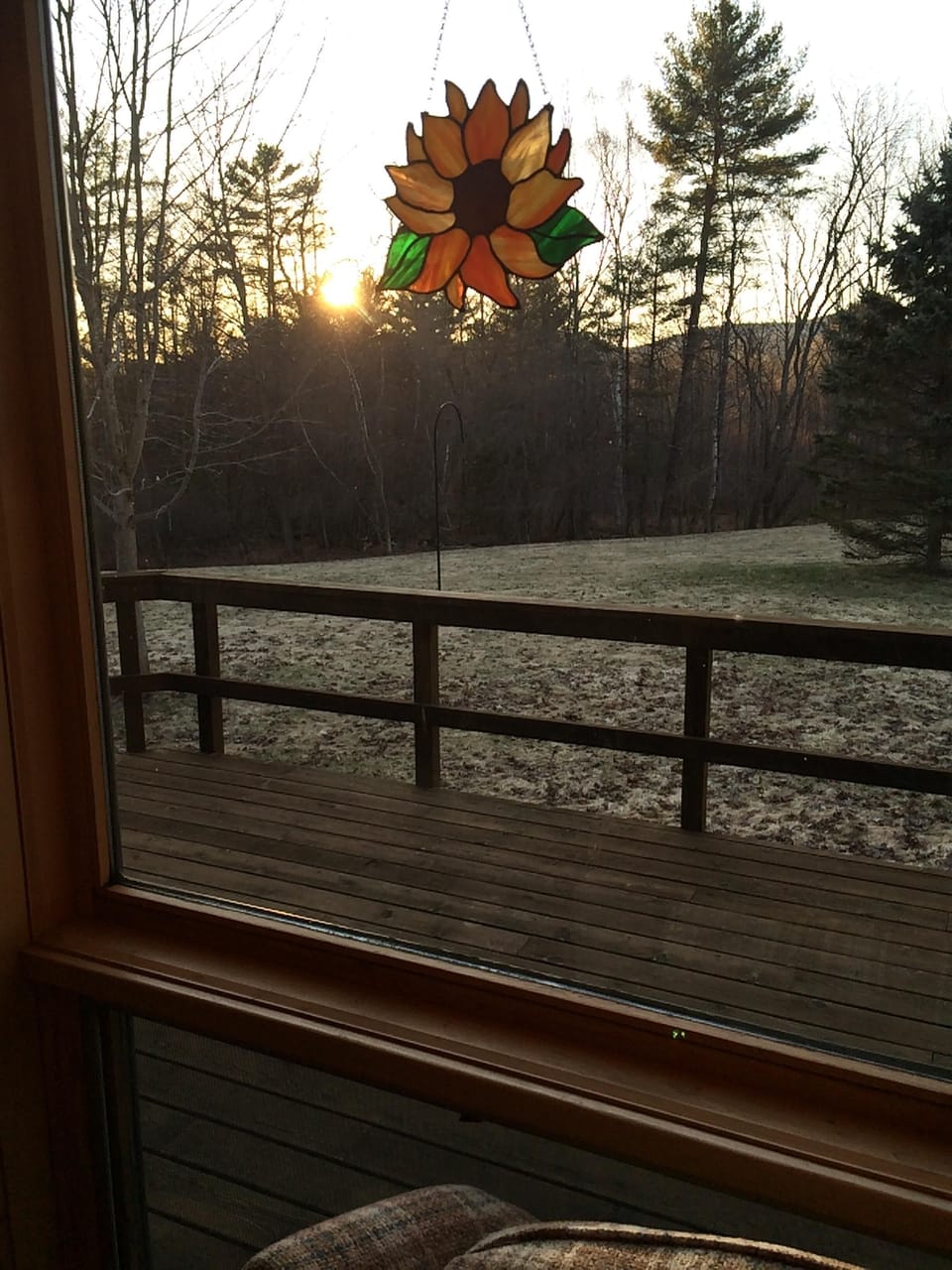 Sunset with frost, picture window