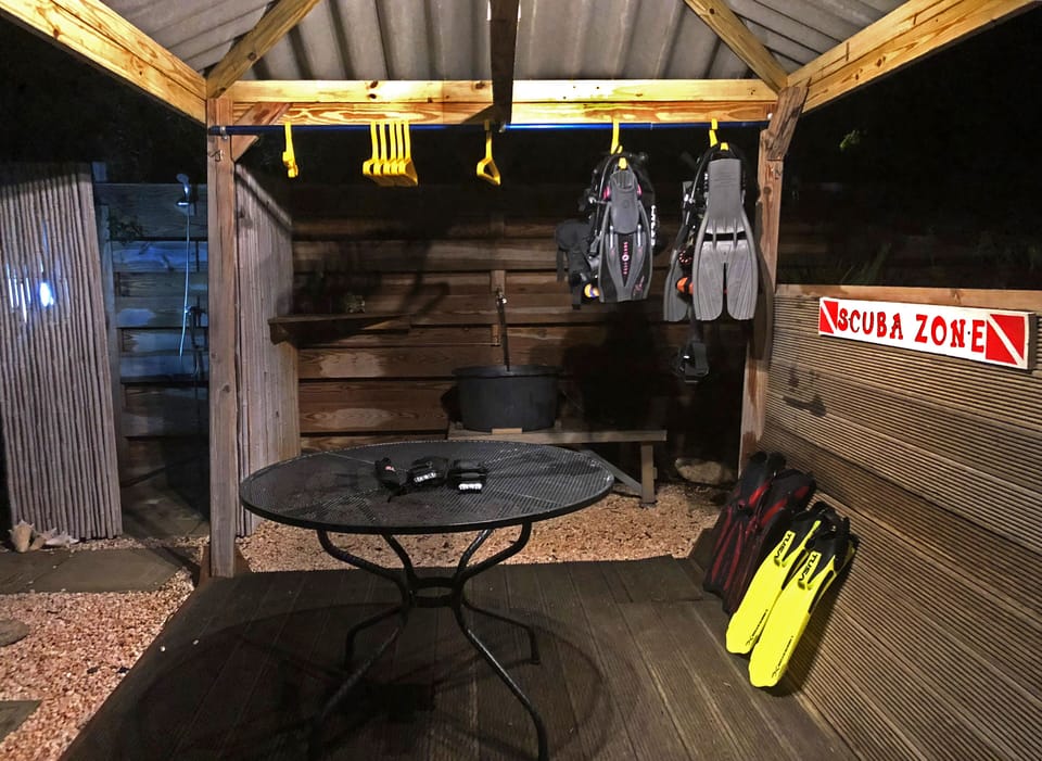 Scuba Zone Night
