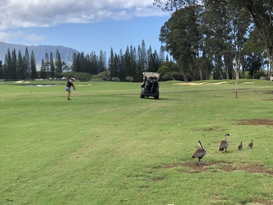 World Class Makai Golf Course & Bali Hai Mountain across the street