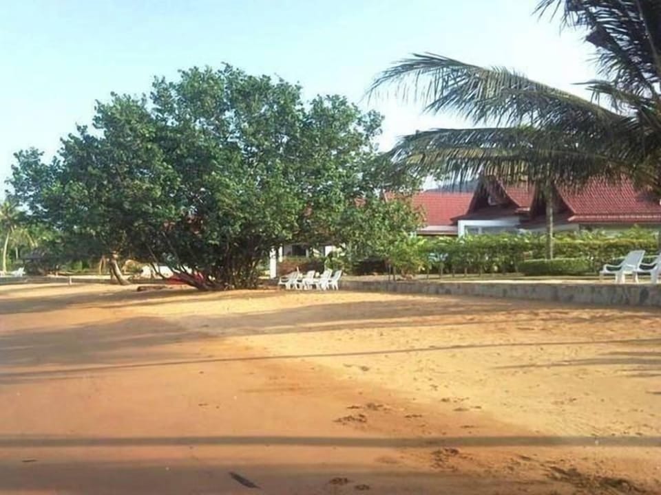Tulip 3 bedroom ocean view villa