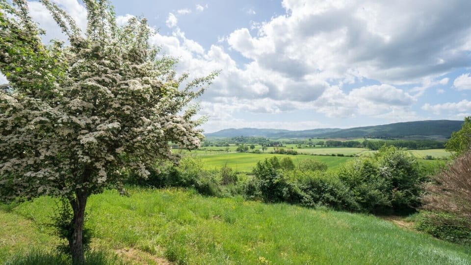 The panoramic view of the countryside as viewed from the courtyard.