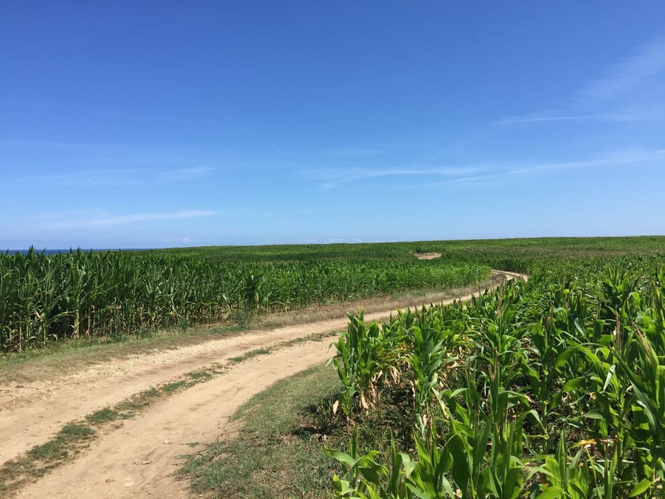 Walk to one of the local beaches
