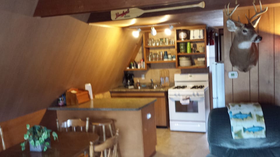 New appliances and full kitchen with utensils. We cook here too!