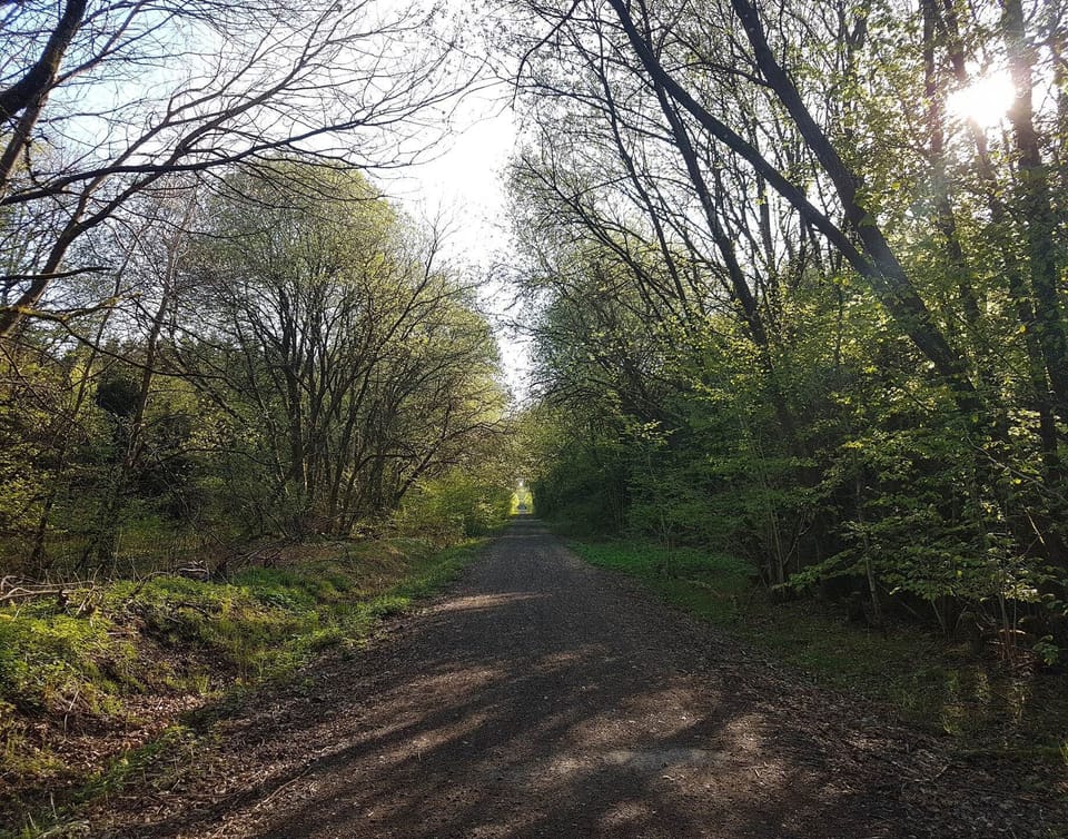 La forêt et le pré-Ravel à proximité