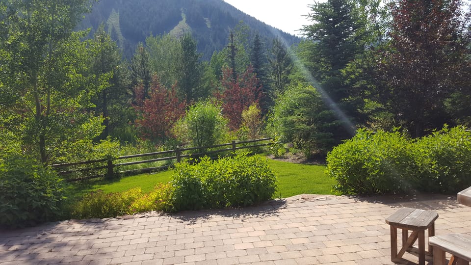 View from Patio/Living Room...