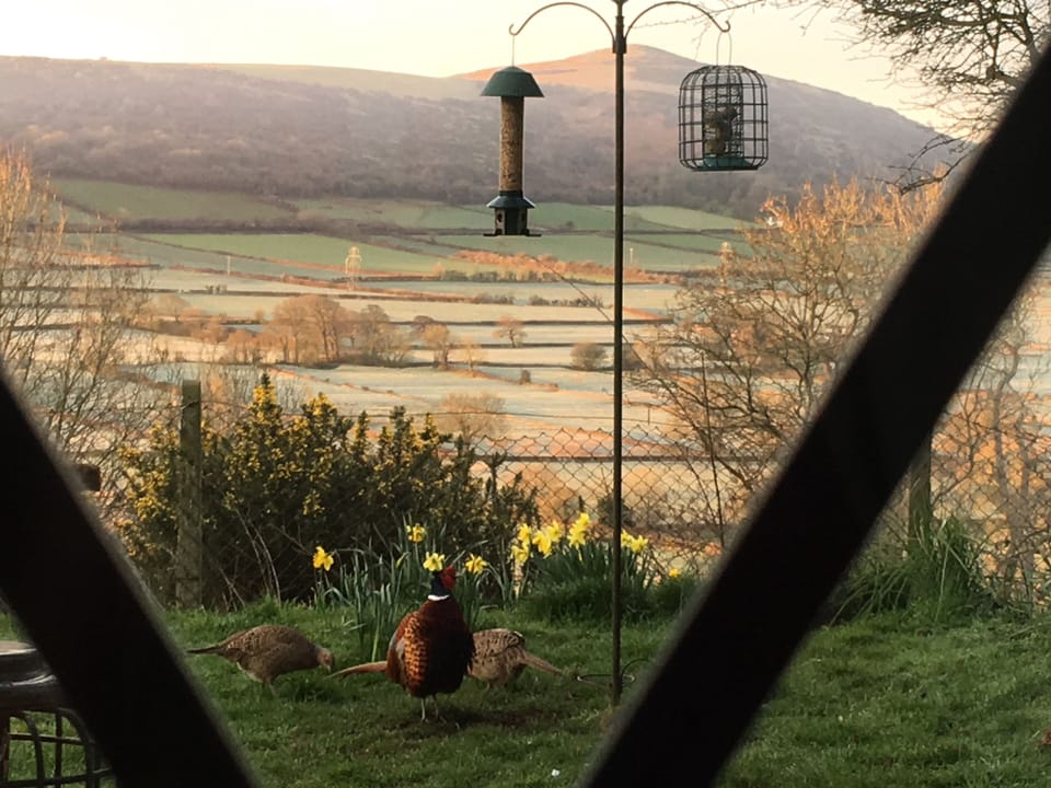Crook Peak,on the Mendip Hills