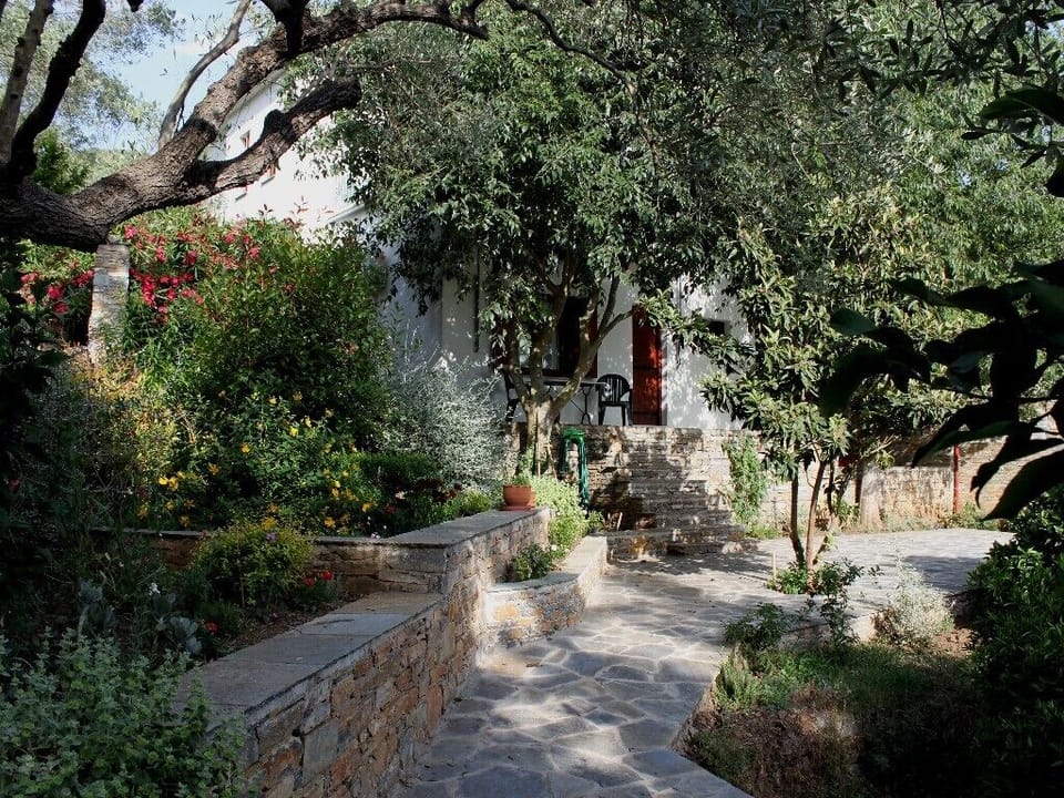 Shrubs and flowers around the terrace ...