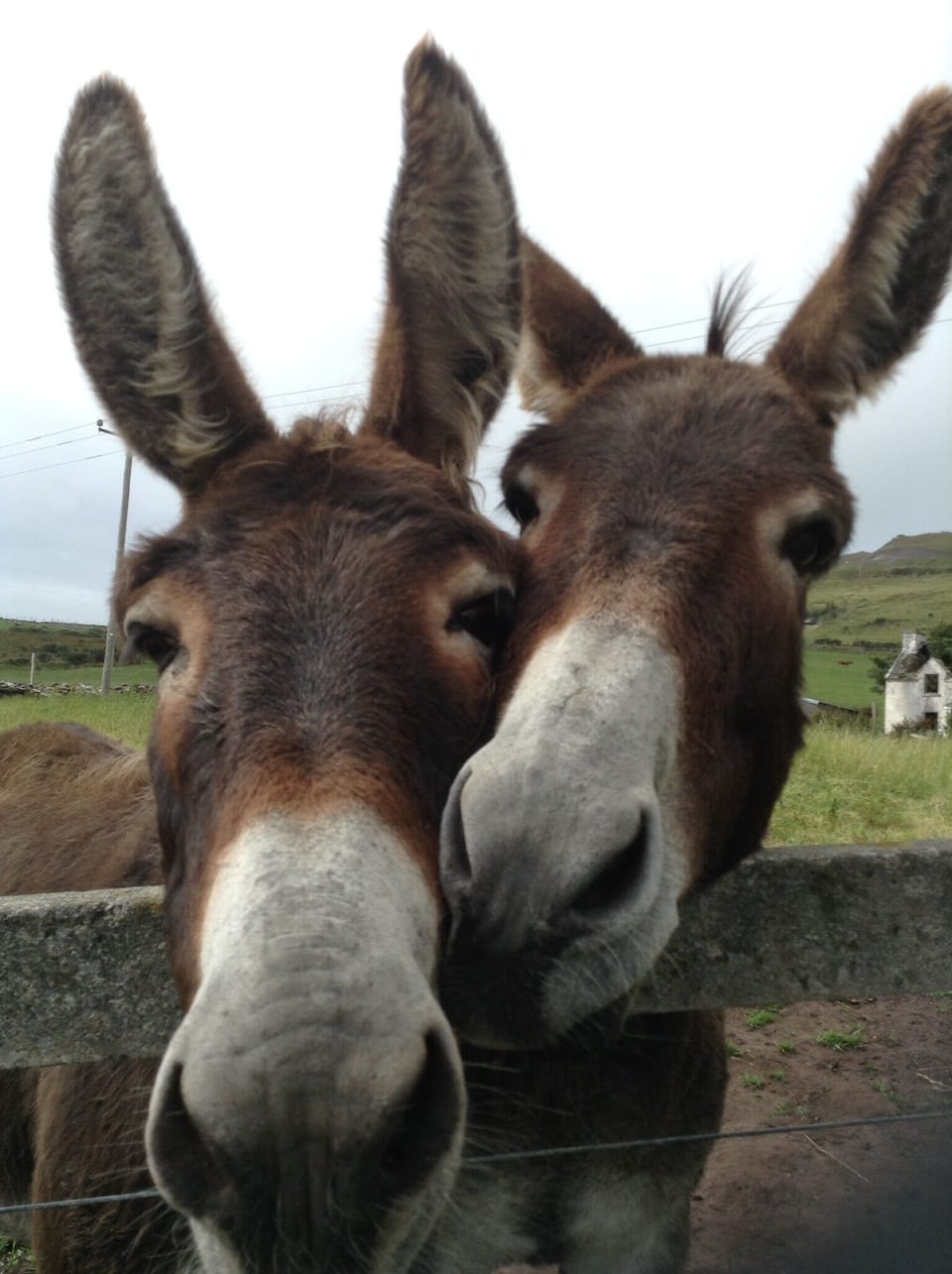 Some friendly faces!