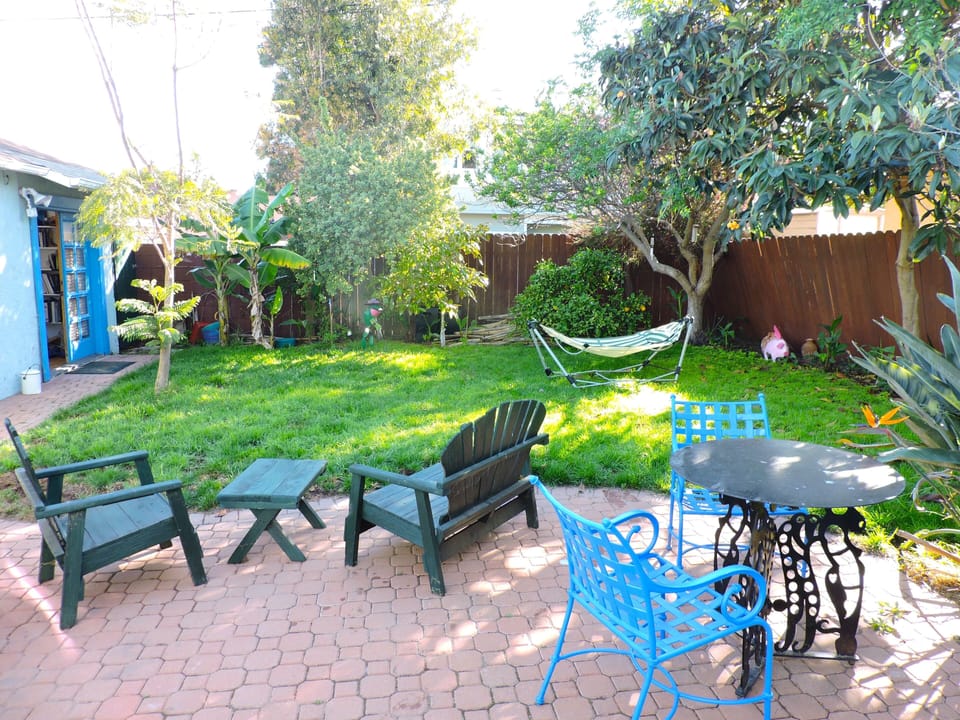 Rear yard late spring 