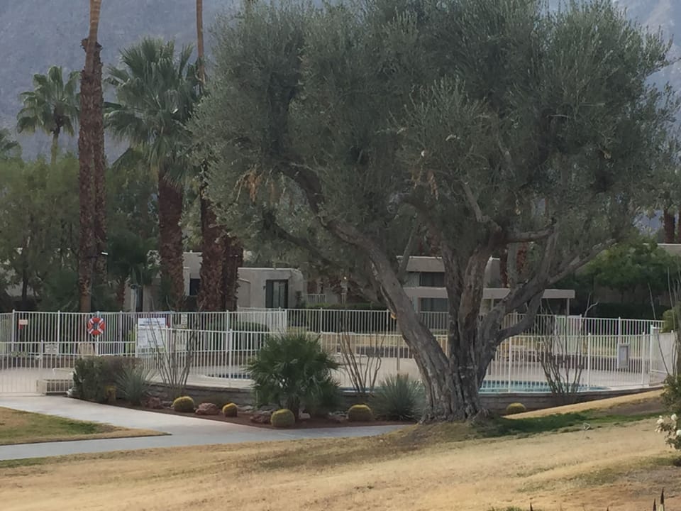 One of three community pools