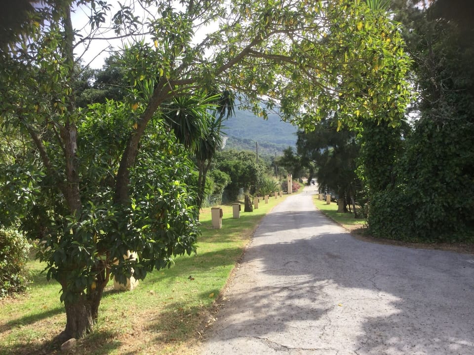 Driveway