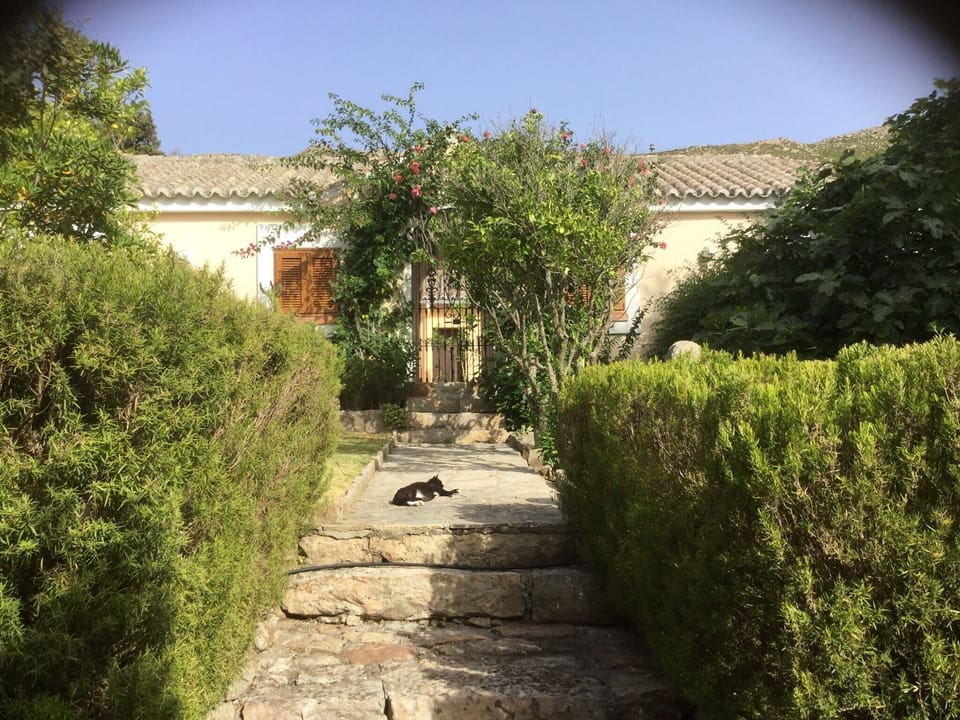 Front of guesthouse