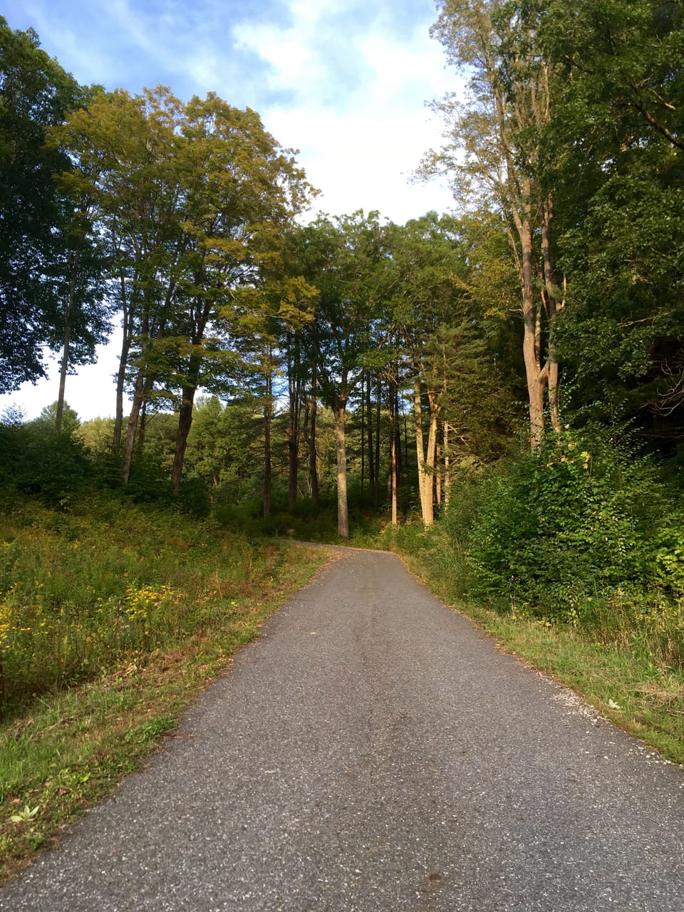 The driveway to the top