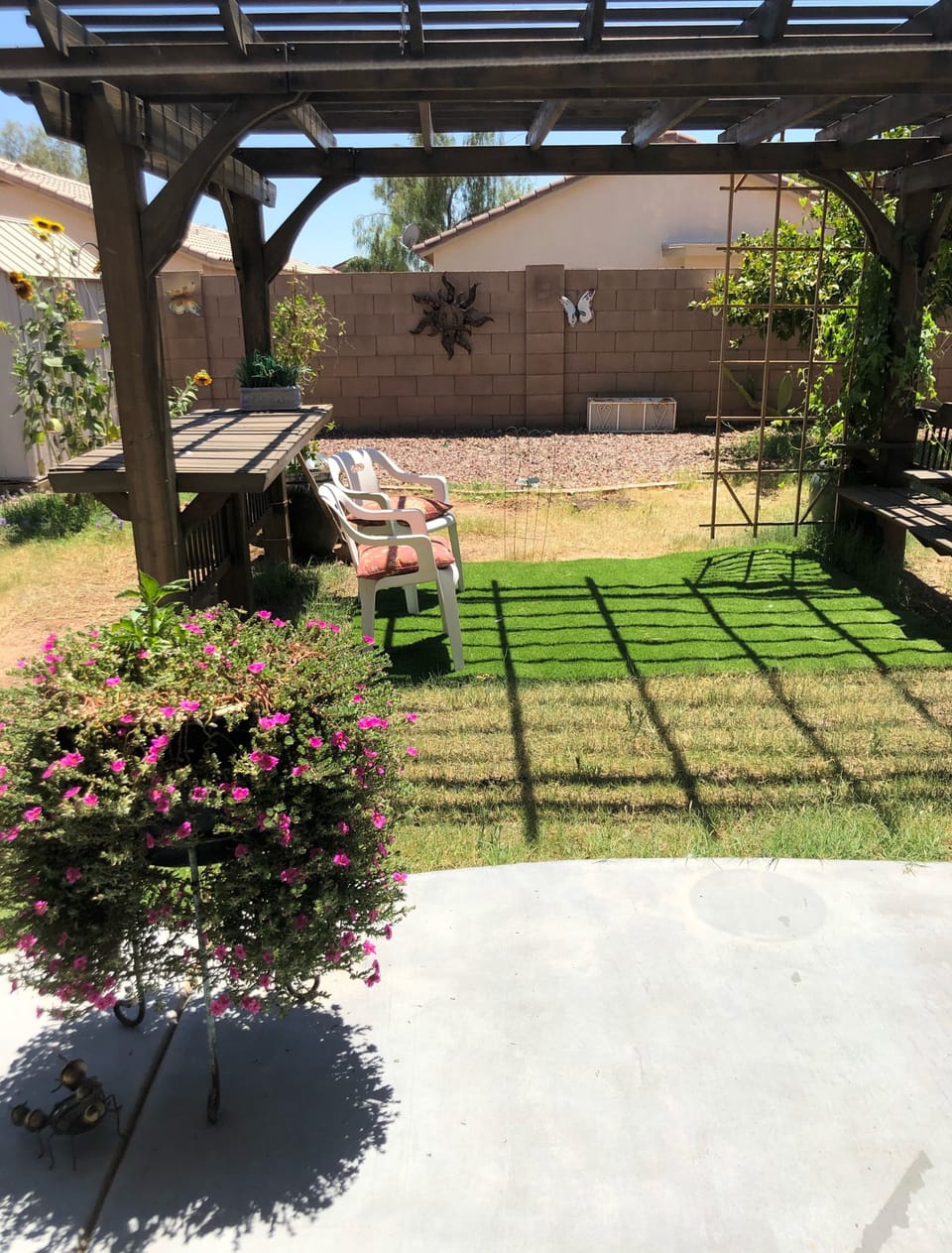 Back yard