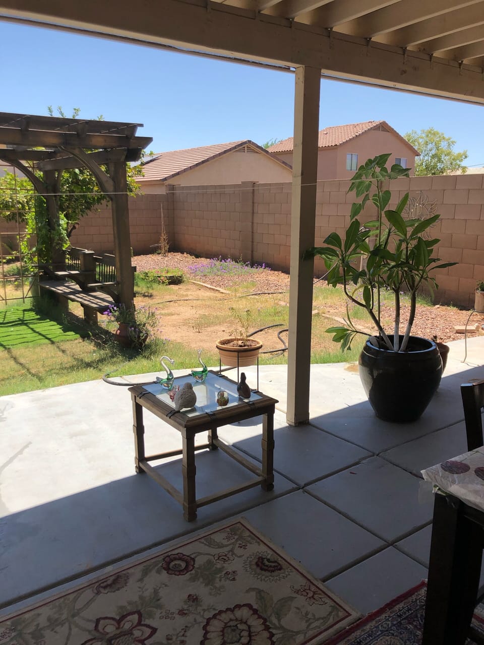 Back yard