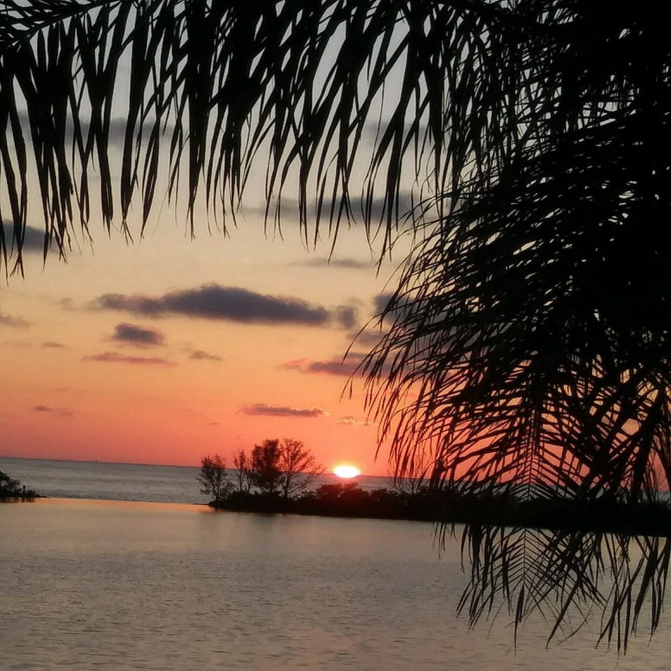 Perfect ending for a perfect day!