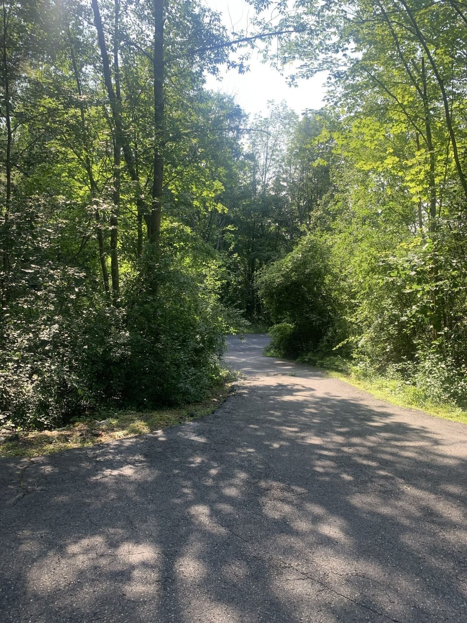 Driveway looking towards the road, house has great privacy.