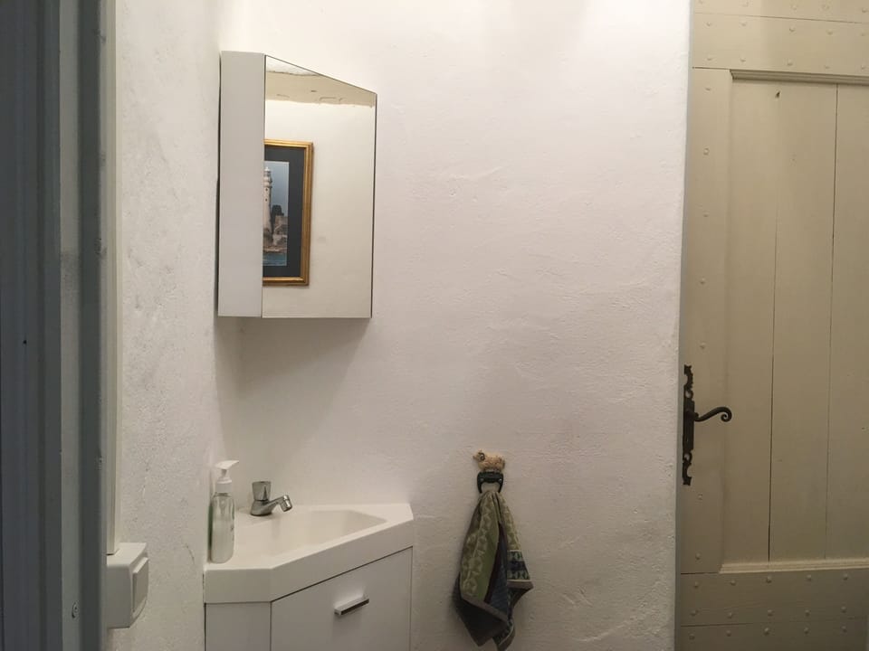 Downstairs toilet
