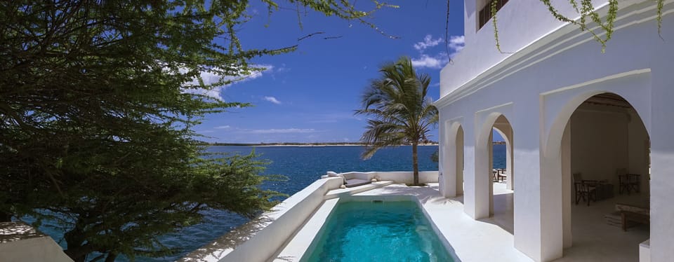 Forodhani House, Pool or Ocean, you choose !