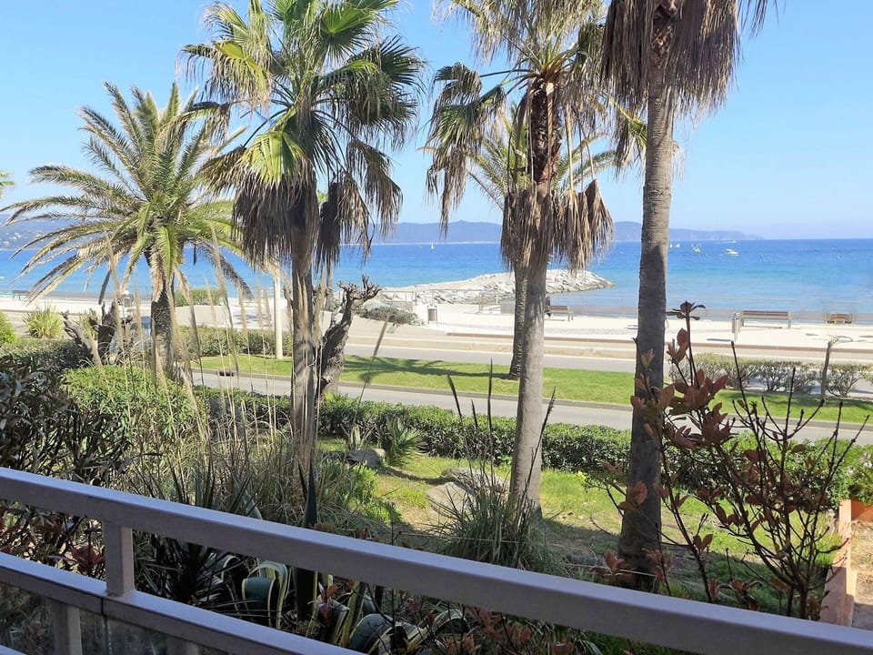 Property, Tree, Shore, Real Estate, Palm Tree, Sky, Ocean, Vacation, Coast, Sea