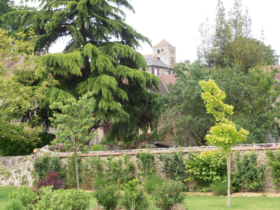 vue of the park