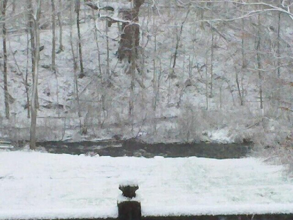 View of Catfish Creek and back yard from deck.