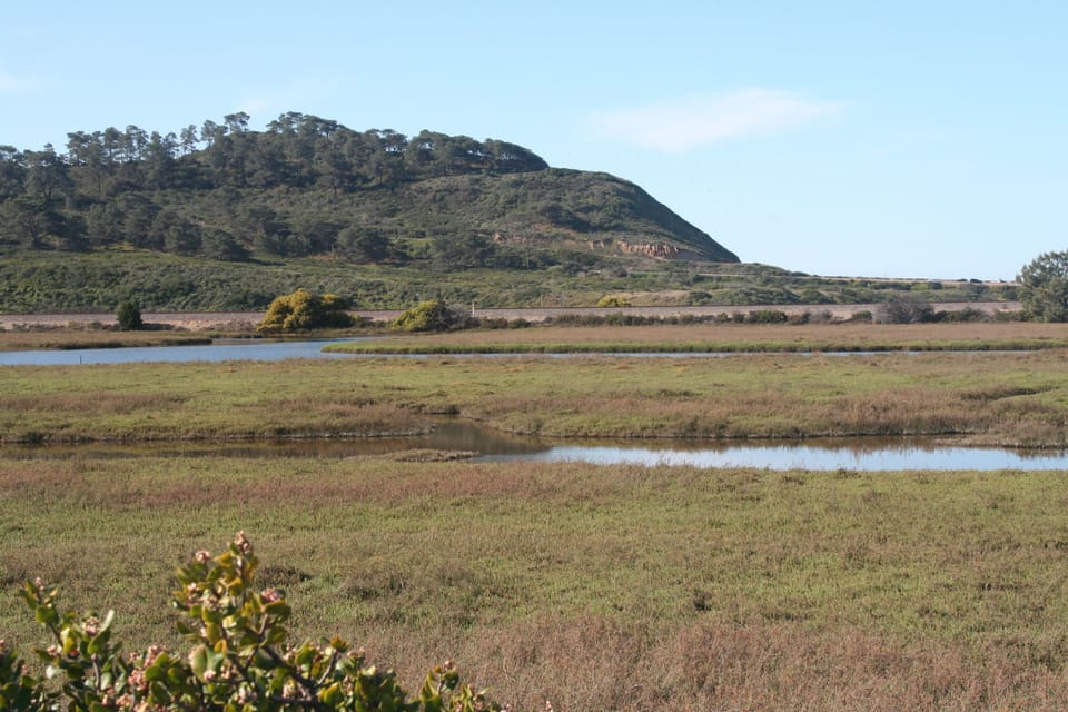 Nearby Lagoon View