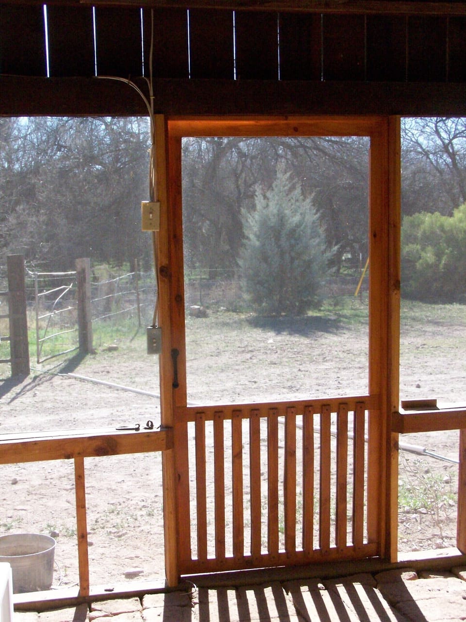 Looking out the screen porch