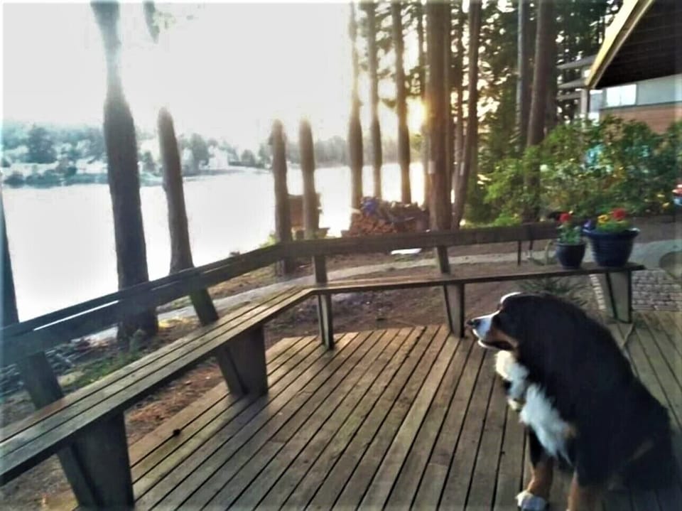 Large deck with barbecue, built-in seating, tables, endless views over water.
