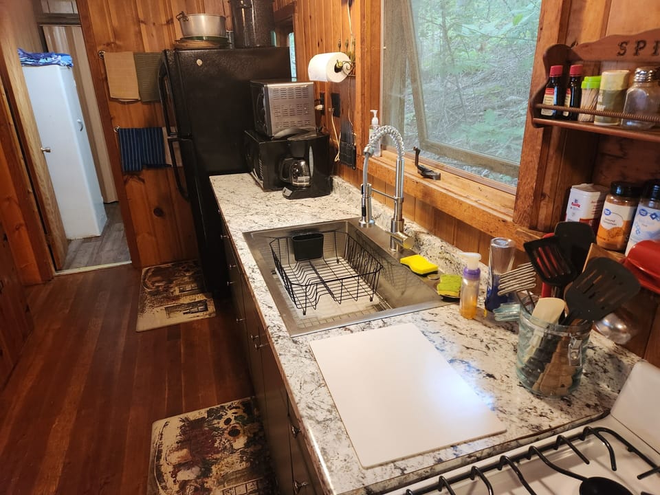 Kitchen Counter and Sink