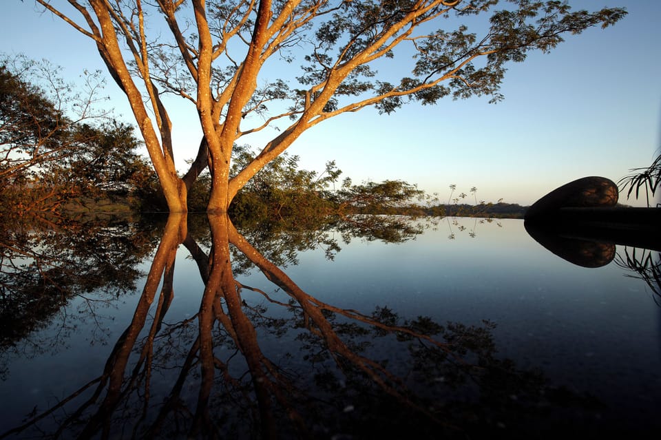 A mirror with magical reflects