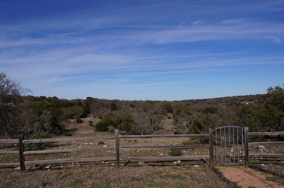 View from the fire pit area outside the guest house