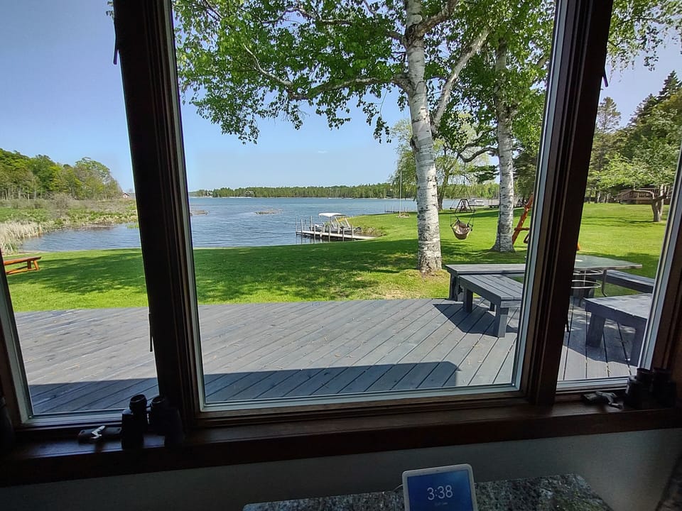 Living Room View