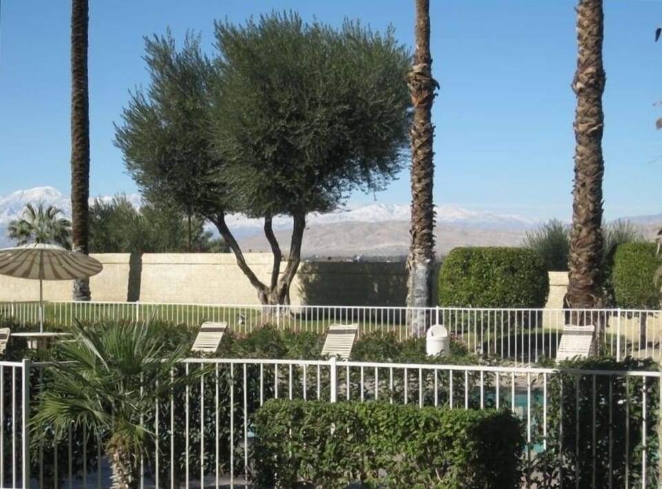 View From Patio Door