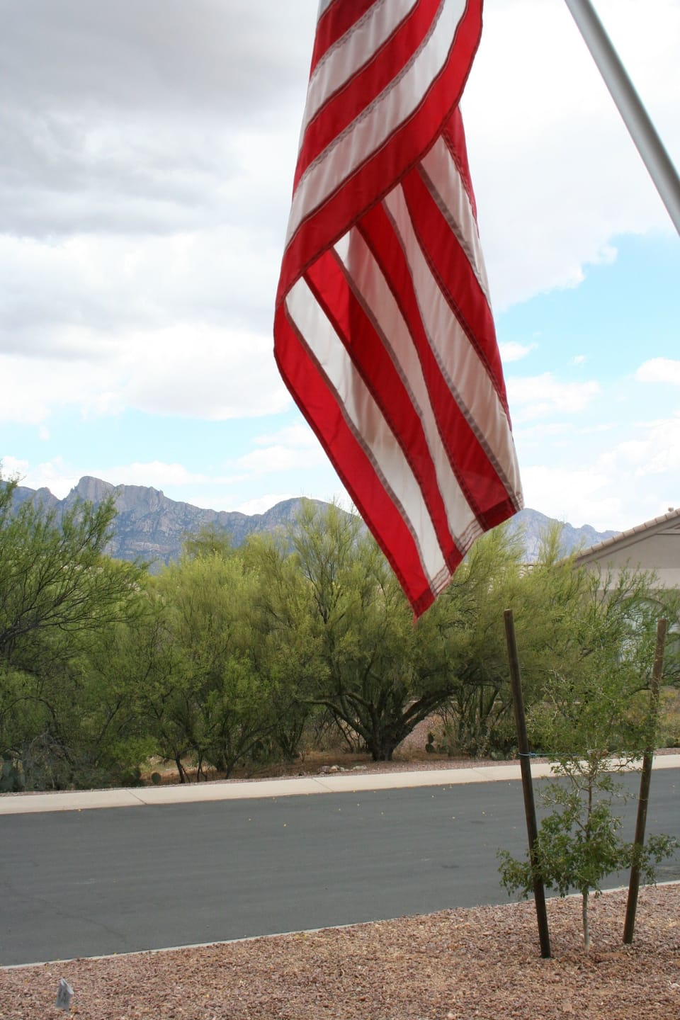 View from the driveway