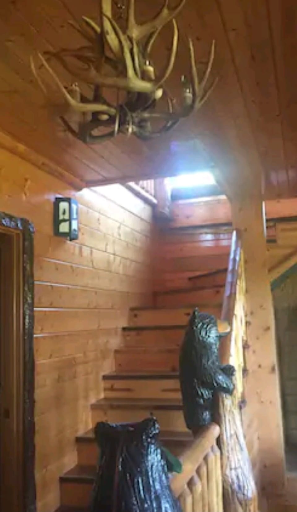 BEARS SURROUND YOU AS YOU WALK THE STAIRS