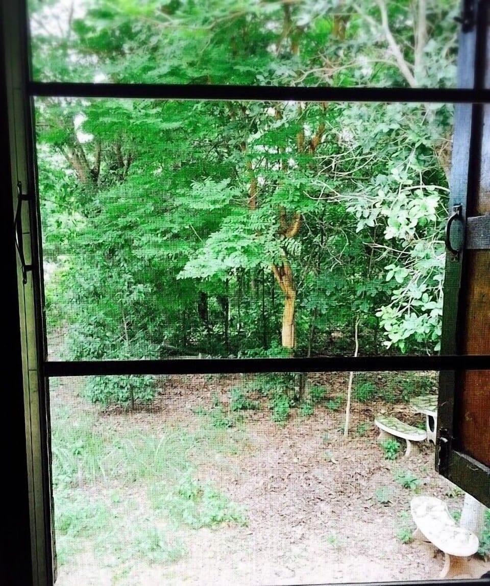 Typical Homestay Among Nature !!