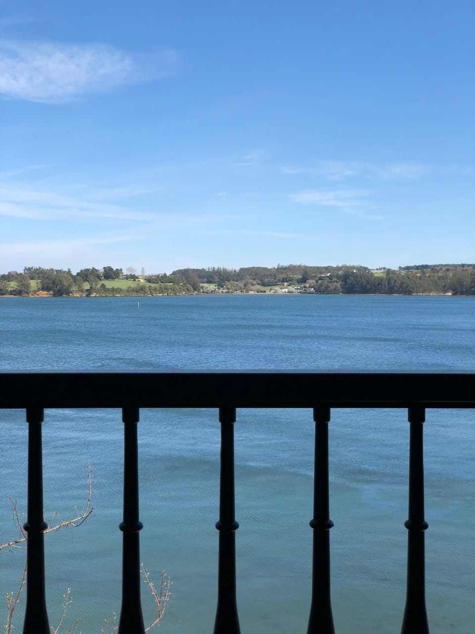 View from Living Room